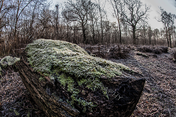 IMG_1664-Edit