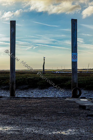 A91C8858-Edit