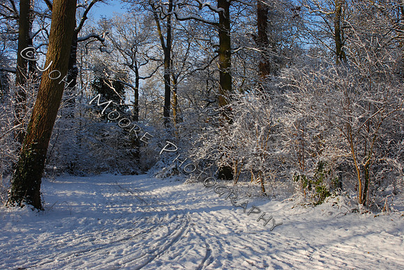 DSC_0476.JPG
