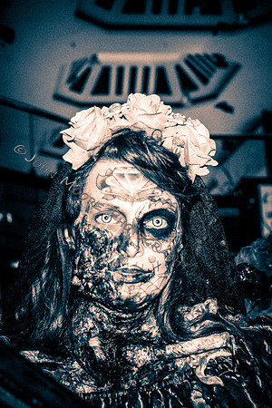 IMG_2400