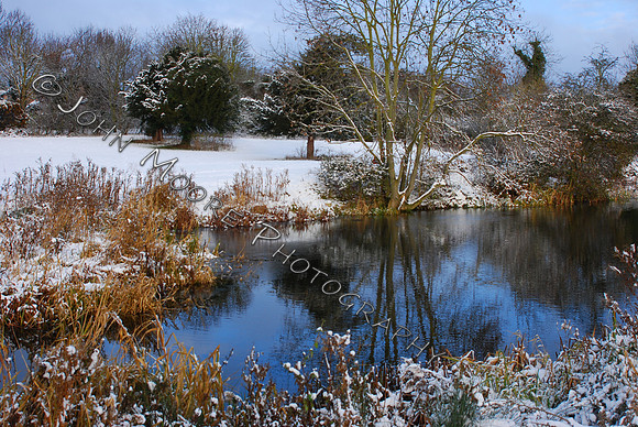 DSC_0451.JPG