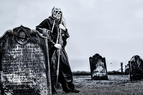 _MG_8429-Edit