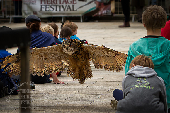 Heritage_Fest_2012-275