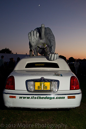 willow_fest-59