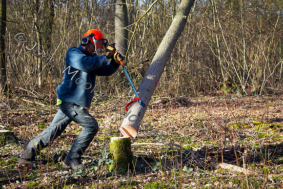 Thorpe Wood_030211_04