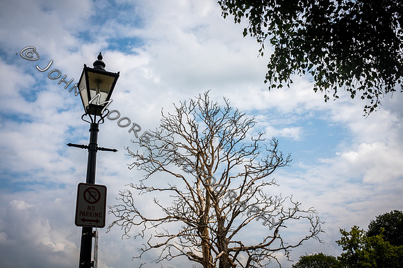 DSCF2396
