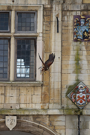 Heritage_Fest_2012-270