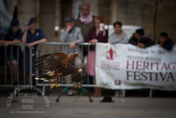Heritage_Fest_2012-259