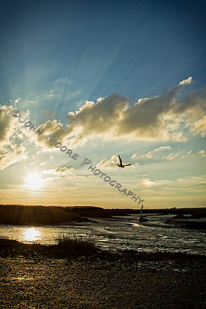 A91C8916-Edit