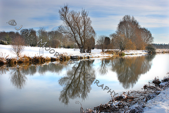 DSC_0498 - Copy.JPG