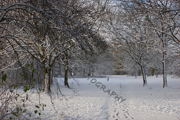 DSC_0441.JPG