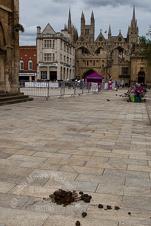 Heritage_Fest_2012-172