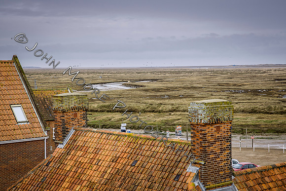 _MG_5002-Edit