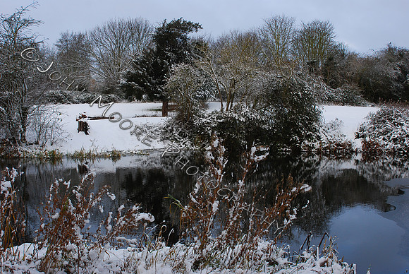 DSC_0457.JPG