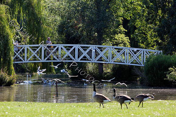 St Neots001