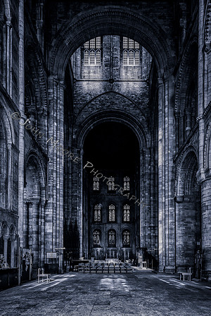 _MG_3306-Edit