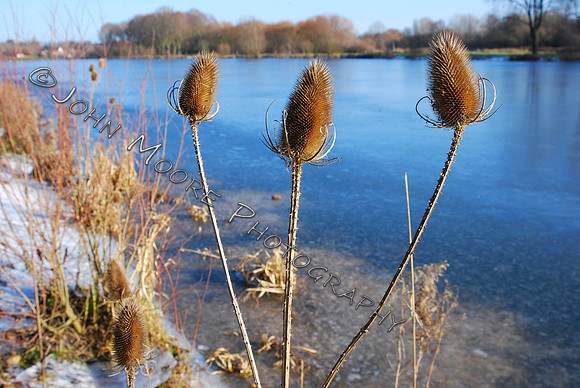 DSC_0097.JPG