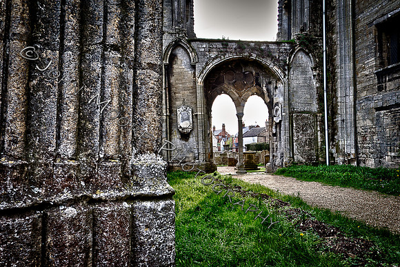 A91C1152_HDR-5