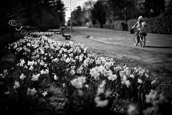 IMG_9656-Edit