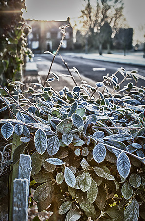 IMG_8204_HDR