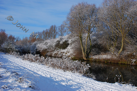 DSC_0491.JPG