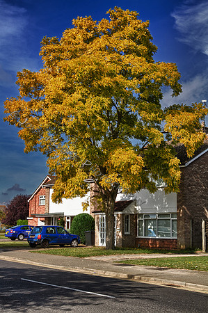 IMG_3242_HDR