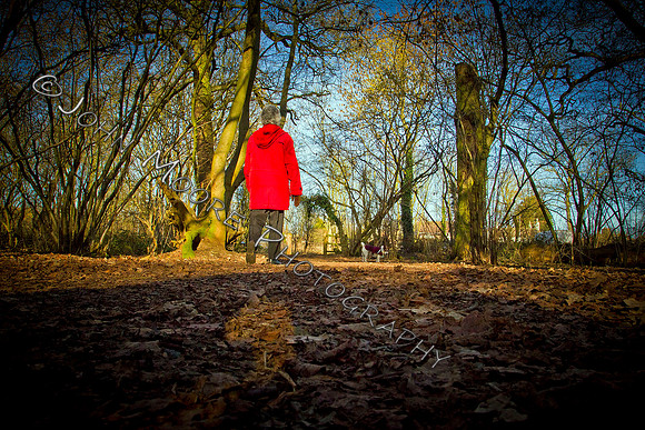 Thorpe Wood_030211_08