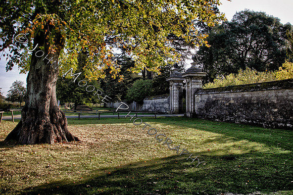A91C5158_HDR