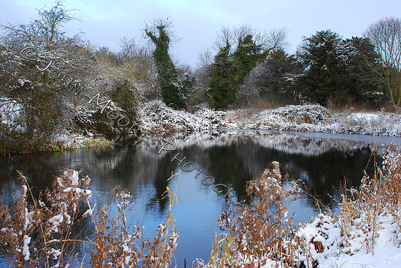DSC_0453.JPG