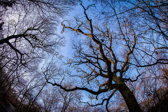 IMG_1611-Edit