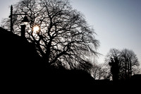 IMG_9627-2