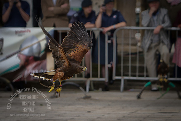 Heritage_Fest_2012-258